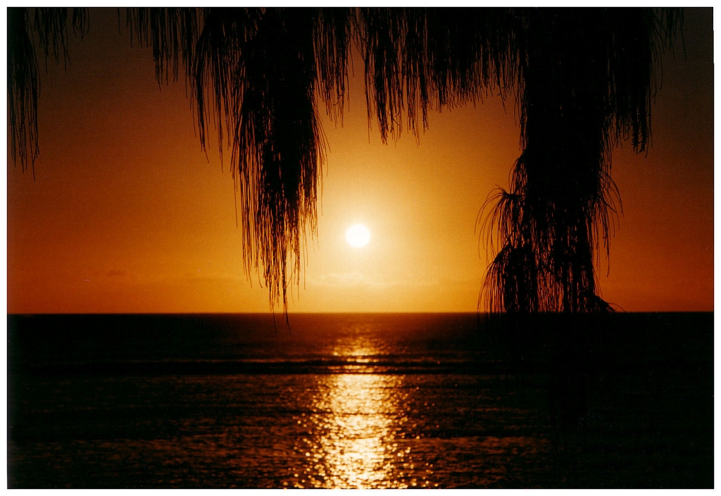 01 - Ile De La Réunion (0).jpg